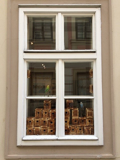Kunst im Schaufenster (Wien)